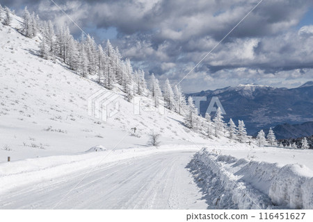 美原公園隱岐線(縣道62號線)沿線的雪景 美原公園隱岐線(縣道62號線)沿線的雪景 116451627