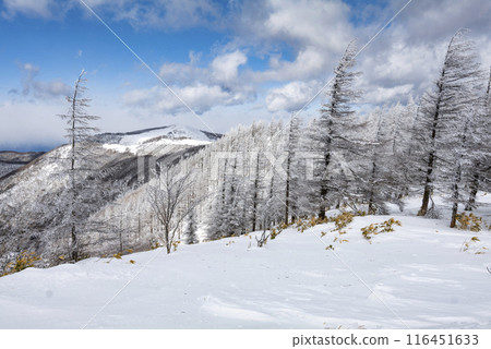 美原公園隱岐線(縣道62號線)沿線的雪景 美原公園隱岐線(縣道62號線)沿線的雪景 116451633