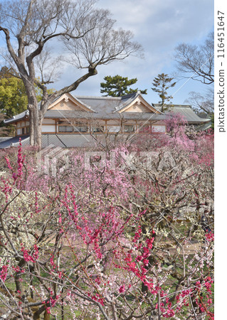 梅園和文都堂 116451647