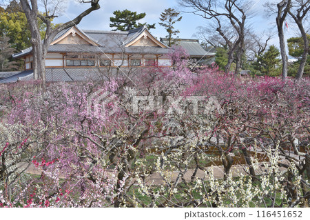 梅園和文都堂 梅園和文都堂 116451652