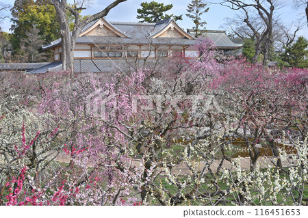 梅園和文都堂 梅園和文都堂 116451653