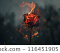 The red rose withered, burning 116451905