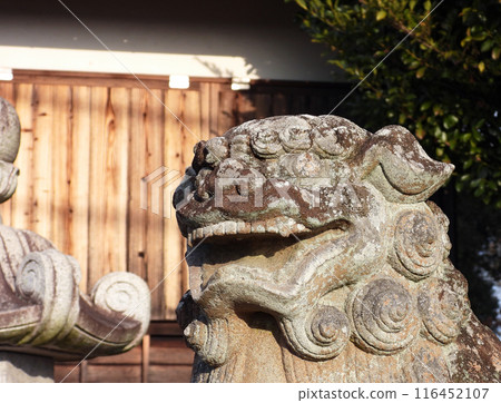 神社裡的老看守狗 116452107