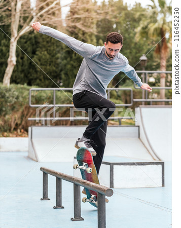 Skateboarder performing a trick on a rail at a skatepark. 116452250