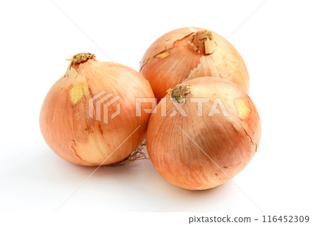 Onion Onion 116452309