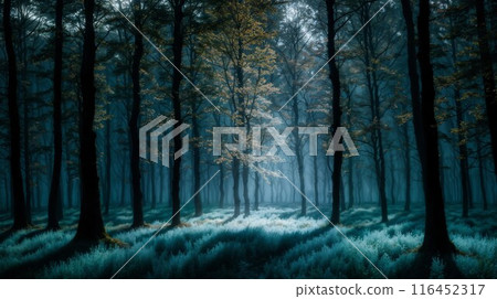 茂密的森林,奇妙的光線穿過草地 茂密的森林,奇妙的光線穿過草地 116452317