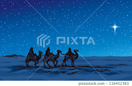 Camel caravan travels. Vector drawing 116452363