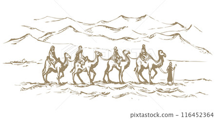 Camel caravan travels. Vector drawing Camel caravan travels. Vector drawing 116452364
