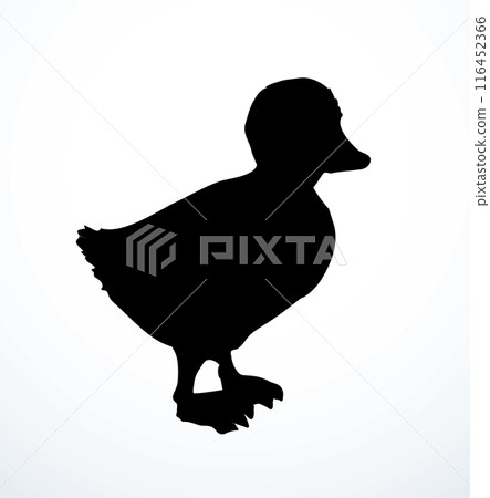 Cute duckling. Vector outline drawing Cute duckling. Vector outline drawing 116452366