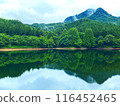 Mountain reflected in the mirror pond 116452465