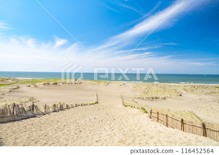 濱松市中田島沙丘上留下的足跡和從海岸看到的海景（靜岡縣） 116452564