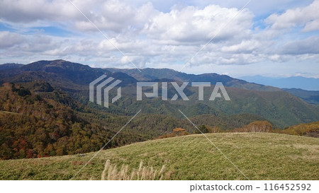 樹葉已開始變秋的山景 116452592