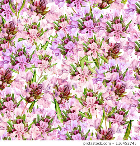 Watercolor seamless pattern with hand-drawn thyme sprigs. Beautiful design for food, tea, aromatic oils. Illustration for printing on fabric, wallpaper, packaging. Watercolor seamless pattern with hand-drawn thyme sprigs. Beautiful design for food, tea, aromatic oils. Illustration for printing on fabric, wallpaper, packaging. 116452743