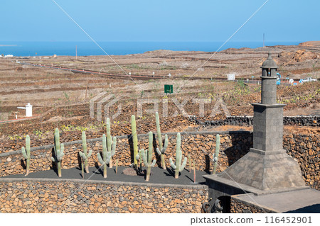 View from the Cactus Park on the ocean, Lanzarote, Spain 116452901
