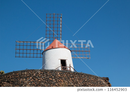 Cactus Garden and a windmill, Lanzarote, Spain 116452903
