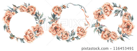 Peony flowers with buds and leaves with flying butterflies in pastel peach fuzz color. Hand drawn botanical watercolor illustration. Set of round frames, wreaths, templates isolated from background 116453491