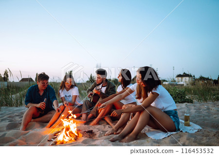 Group of young friends sitting on beach and fry sausages. One man is playing guitar. Camping time. Group of young friends sitting on beach and fry sausages. One man is playing guitar. Camping time. 116453532
