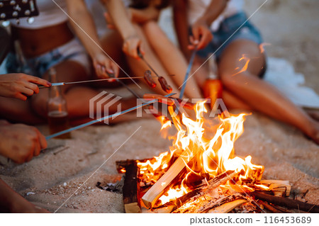 Fried sausages on bonfire. Group of young friends sitting on beach and fry sausages. Camping time. Fried sausages on bonfire. Group of young friends sitting on beach and fry sausages. Camping time. 116453689