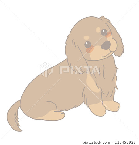 Sitting Dachshund Chocotan 116453925