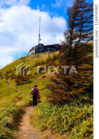 Utsukushigahara hiking Utsukushigahara hiking 116454060