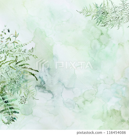 Wedding square background with Watercolor fern and botanical green leaves 116454086
