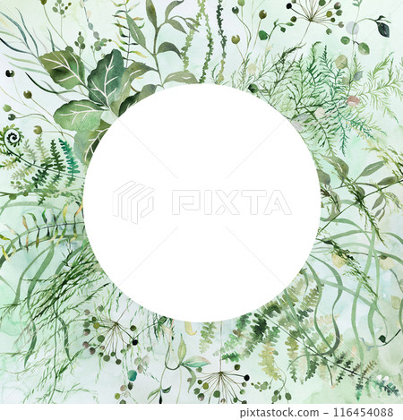 Circle frame with Watercolor fragile stems and tiny green leaves isolated wedding illustration 116454088