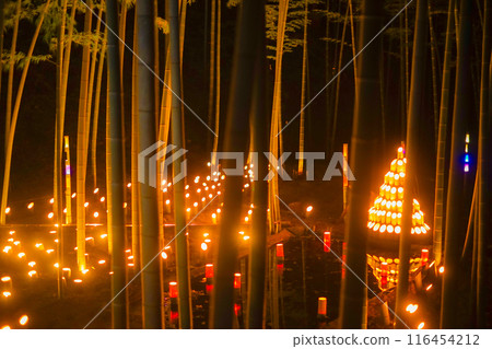 Illumination of bamboo grove (Kozukue Castle Remains Citizen's Forest) Illumination of bamboo grove (Kozukue Castle Remains Citizen's Forest) 116454212