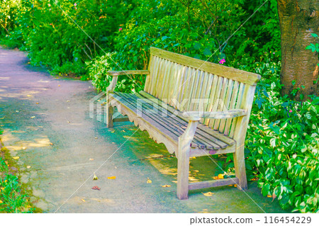  在森林裡的長凳 116454229