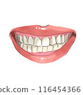 Mouth showing white teeth 116454366