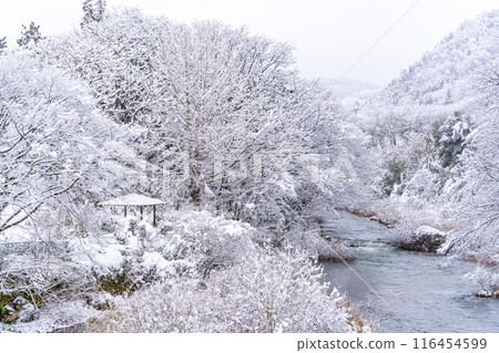 雪伊飯坂溫泉，從歷史和規模上看，日本著名的溫泉代表，飯坂的歷史可以追溯到大和武時代，中術綱橋 116454599