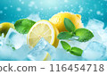 食物圖片用冰塊冷卻的檸檬和薄荷葉 116454718