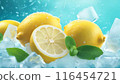 食物圖片用冰塊冷卻的檸檬和薄荷葉 116454721
