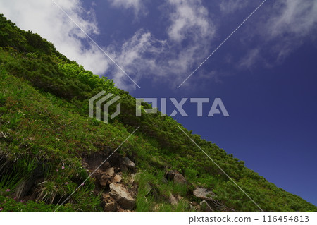 從山路上仰望藍天 從山路上仰望藍天 116454813