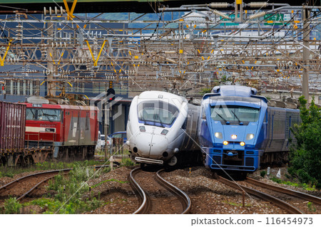 駛過貨運列車的“特快索尼克” 駛過貨運列車的“特快索尼克” 116454973