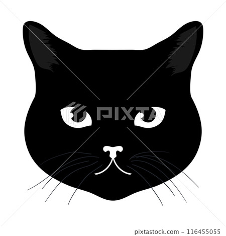 Black cat head isolated on white background. Feline face. Vector illustration 116455055