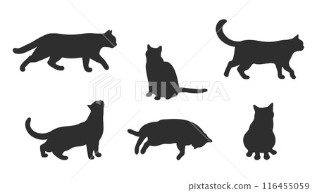 Set of cat silhouettes isolated on white background. Different cat poses. Cat is lying, sitting, walking, standing.  Vector illustration 116455059