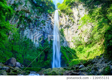 Higashishiiya Falls in summer, Usa City, Oita Prefecture Higashishiiya Falls in summer, Usa City, Oita Prefecture 116455131
