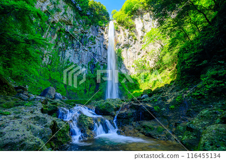 Higashishiiya Falls in summer, Usa City, Oita Prefecture Higashishiiya Falls in summer, Usa City, Oita Prefecture 116455134