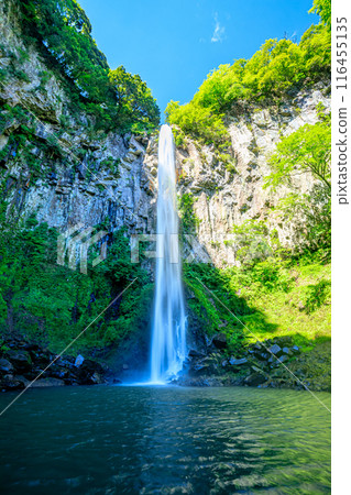 Higashishiiya Falls in summer, Usa City, Oita Prefecture Higashishiiya Falls in summer, Usa City, Oita Prefecture 116455135