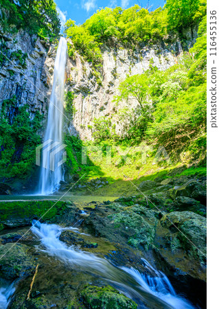 Higashishiiya Falls in summer, Usa City, Oita Prefecture Higashishiiya Falls in summer, Usa City, Oita Prefecture 116455136
