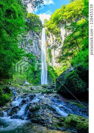Higashishiiya Falls in summer, Usa City, Oita Prefecture 116455139