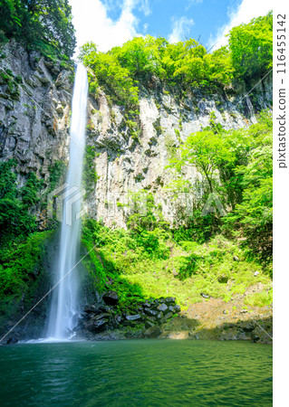 Higashishiiya Falls in summer, Usa City, Oita Prefecture 116455142
