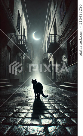 Black Cat, Back Alley and Crescent Moon 116455250