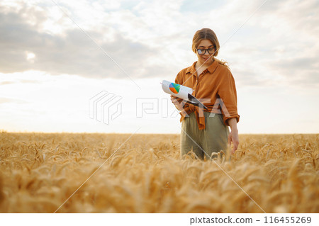 Farmer- woman on wheat field with tablet in his hands. Smart farm. Agriculture, gardening concept. Farmer- woman on wheat field with tablet in his hands. Smart farm. Agriculture, gardening concept. 116455269