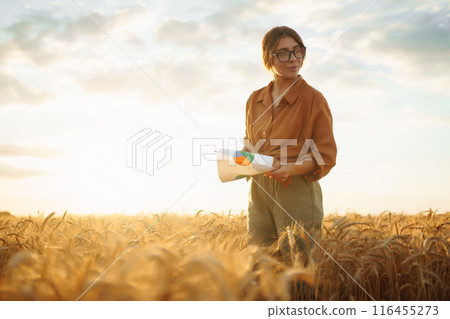 Young woman agronomist in wheat field with tablet in her hand checks field. Agriculture concept. Young woman agronomist in wheat field with tablet in her hand checks field. Agriculture concept. 116455273