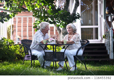 Elderly couple sitting at the table in the summer at the country house 116455392