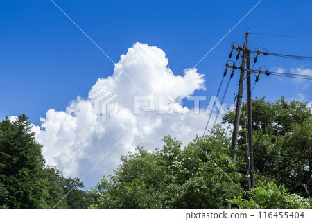 夏天的藍天、白雲、電線桿和綠樹 夏天的藍天、白雲、電線桿和綠樹 116455404