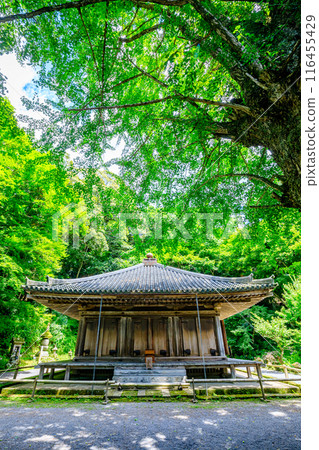 Fukiji Temple in summer, Bungotakada City, Oita Prefecture 116455429