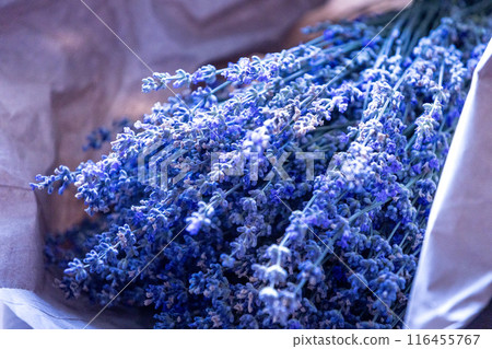 Fresh lavender wrapped in a sheet of paper Fresh lavender wrapped in a sheet of paper 116455767