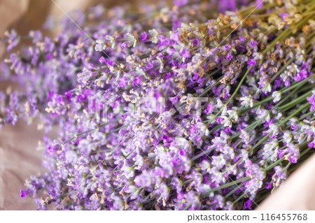 Fresh lavender wrapped in a sheet of paper 116455768